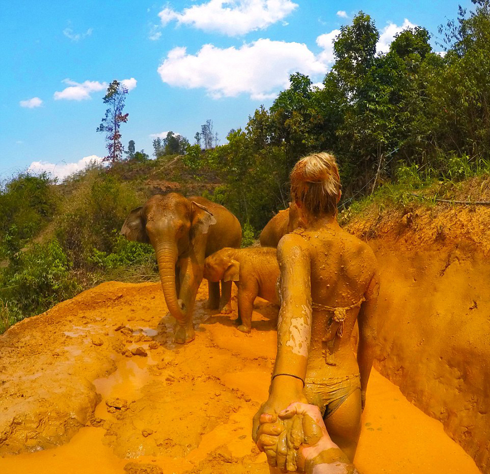 ???? ????? ?????? ????? "??????" ??? ?????? ?? ????