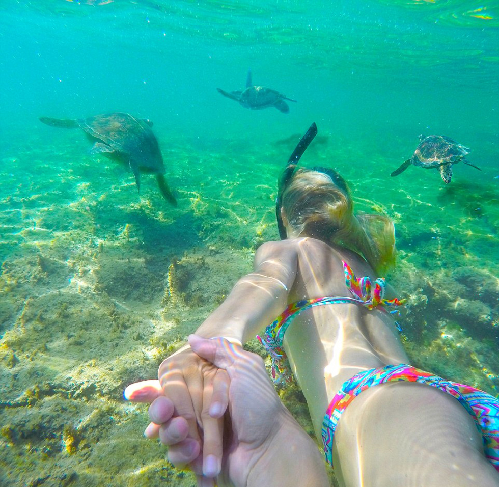 ???? ????? ?????? ????? "??????" ??? ?????? ?? ????