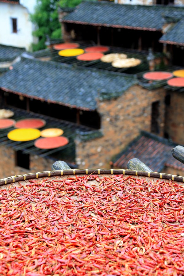 ???? ????????? ????? ??????? ????? ?????? ??????