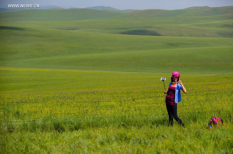 ????? ???????: ????? ?? ???? ?????? - ??? ??????