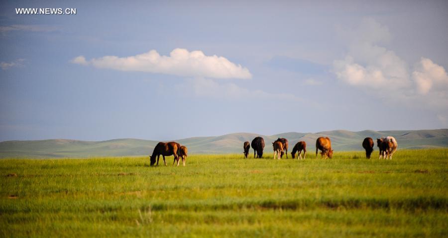 ????? ???????: ????? ?? ???? ?????? - ??? ??????