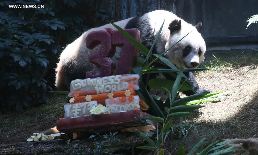 ??????? ???????? "??? ???" ???? ????? ??????? ??????? ????? ???