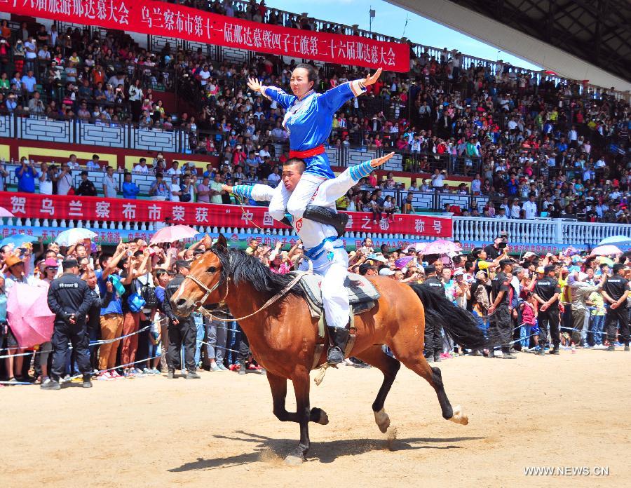 ???? ?? 700 ????? ???????? ??????? ????? ??? ?????? ??????? ??????????