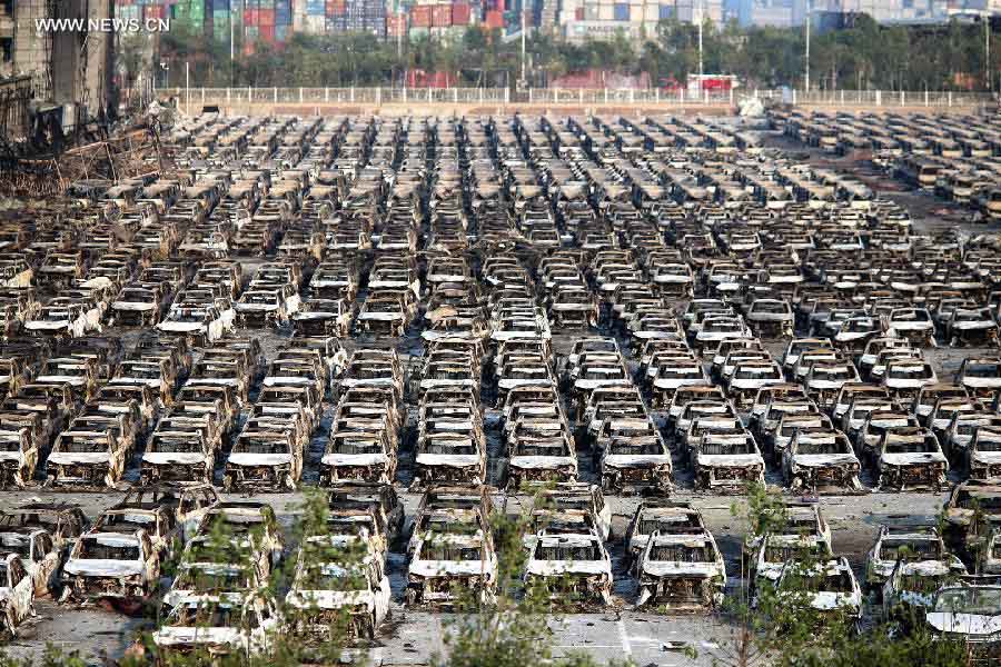 ?????? ????? ???? ???????? ??????? ??? 50