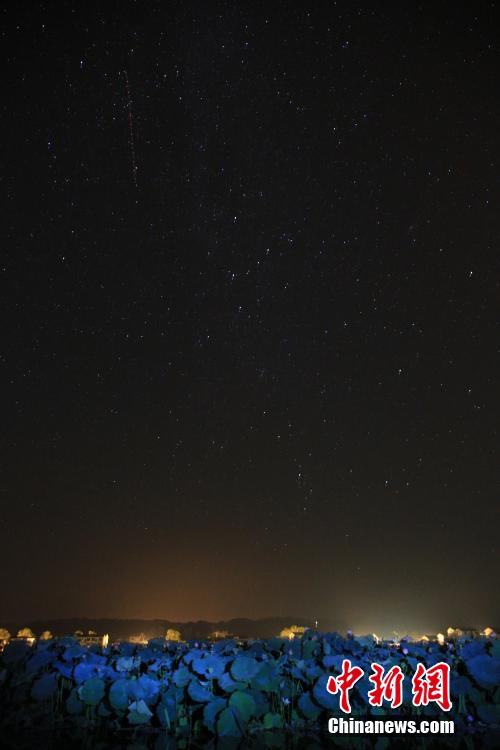 ????? ?????.. ????? ????? ?? ???? ?????