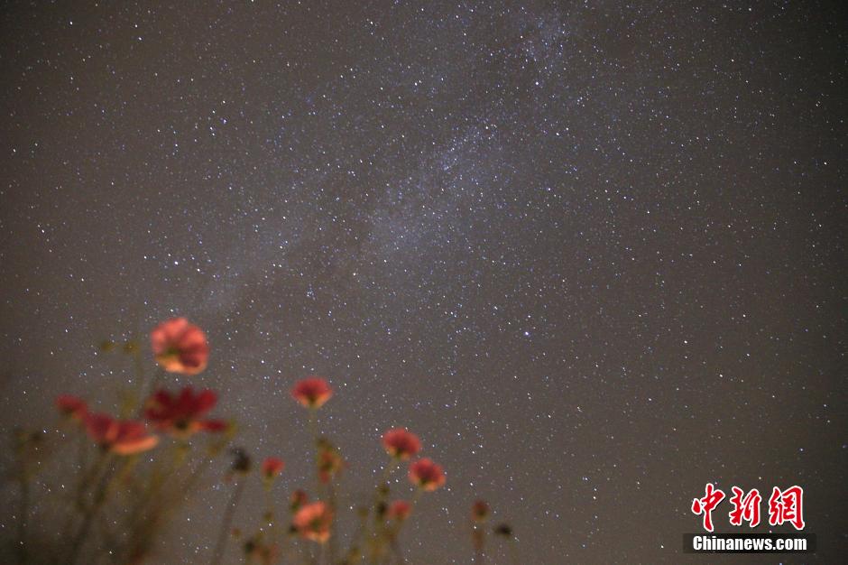 ????? ?????.. ????? ????? ?? ???? ?????