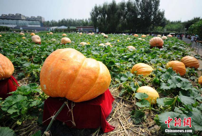 ??? ????? ????? ???? 150 ??? ??????????