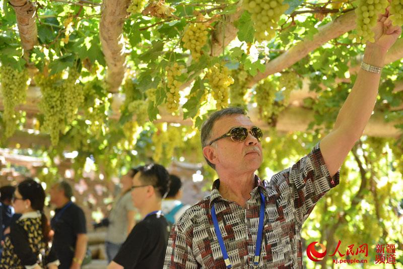 ???????? ?? ???? ??????? ???????: ??????? ?????? ??????? ?? ????????