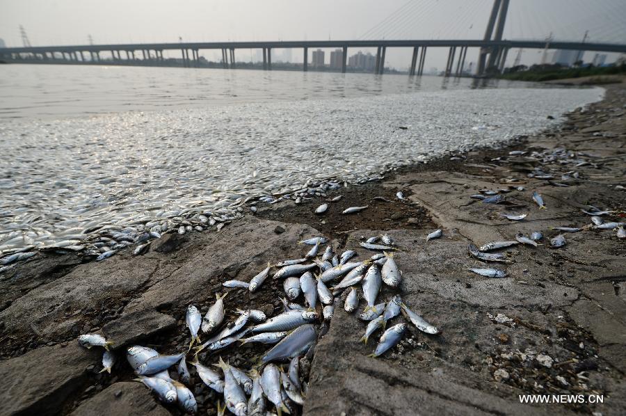 ?? ???? ???????? ?? ???? ?? ????? ????? ?? ??? ????????