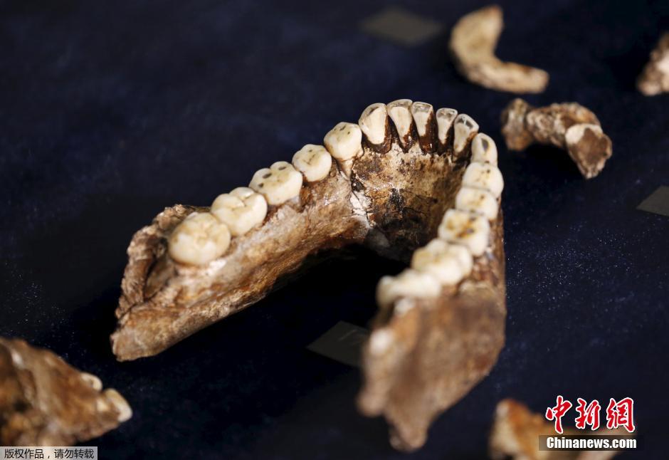 ?????? ???? ?? ??????????: ???? ???????  ???? ???  ????? ?????? ????? ??? ?????