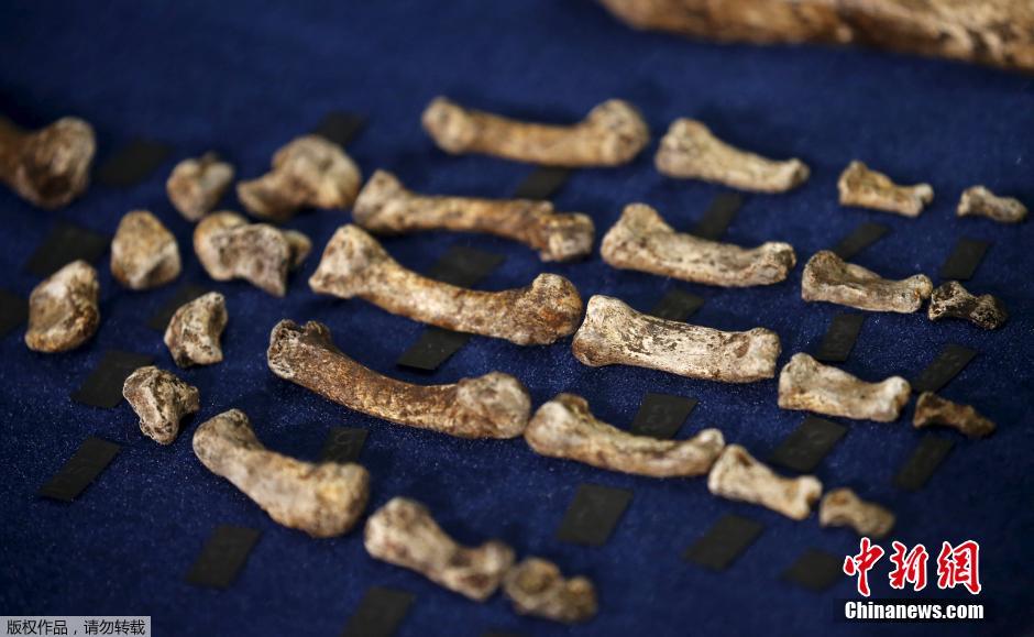 ?????? ???? ?? ??????????: ???? ???????  ???? ???  ????? ?????? ????? ??? ?????