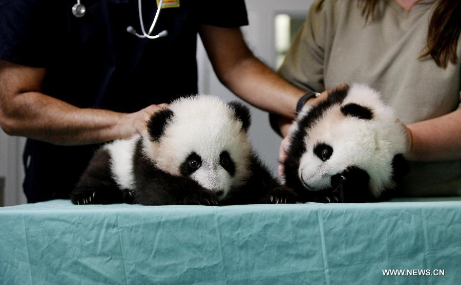 ??????? ???????? ?? ???????? ???????: ??? ???????? ??????? ?????????