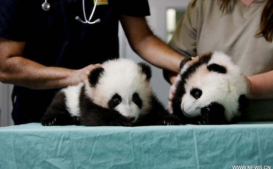 ??????? ???????? ?? ???????? ???????: ??? ???????? ??????? ?????????