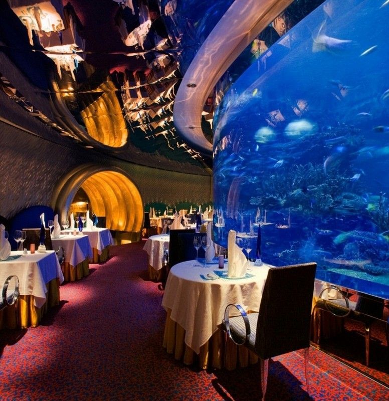 ???????? ?????????? ???? ???? ??? ?????