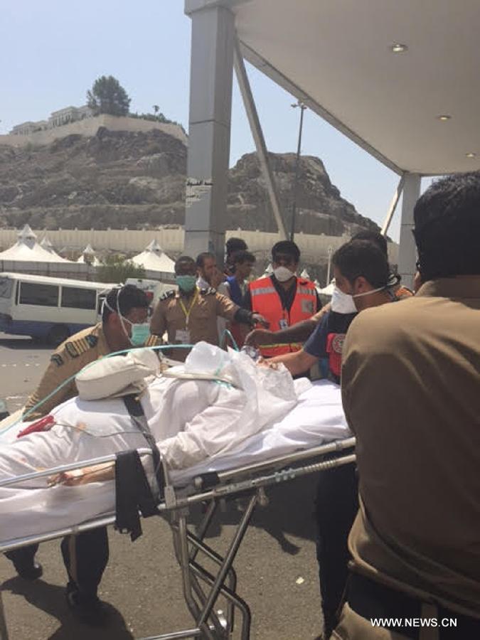 ???? 310 ???? ?????? 450 ????? ?? ????? ??? ??? ??????? ?? ???? ??? ????