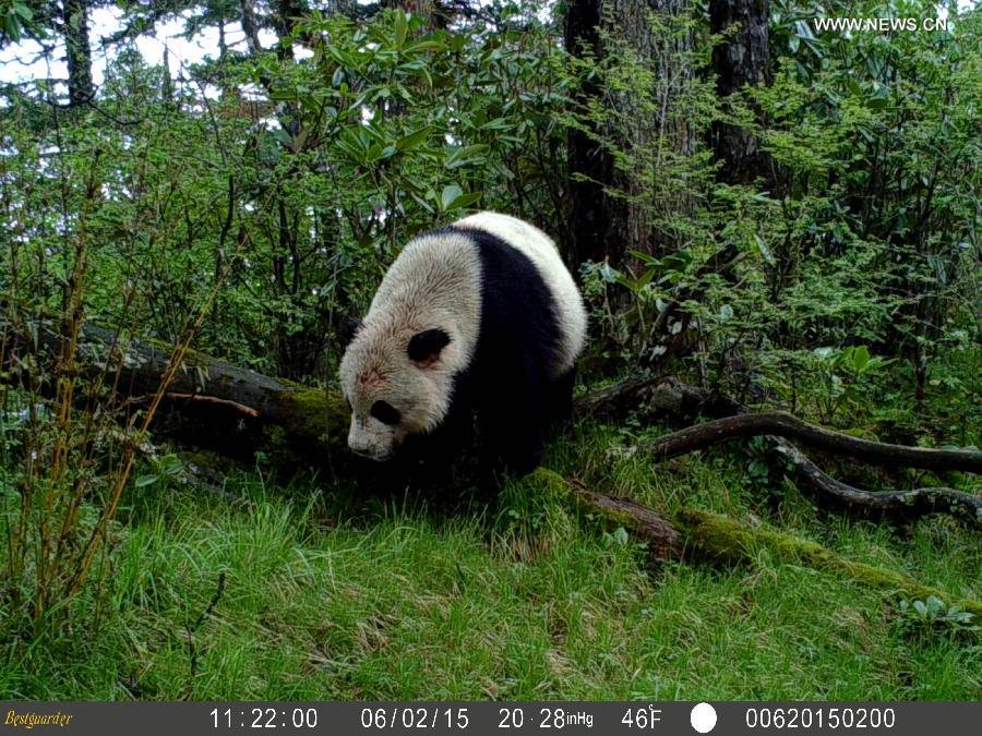 ????? ????? ??????? ?????? ???? ?????? ??? ?????? ?? ???? ???? ?????