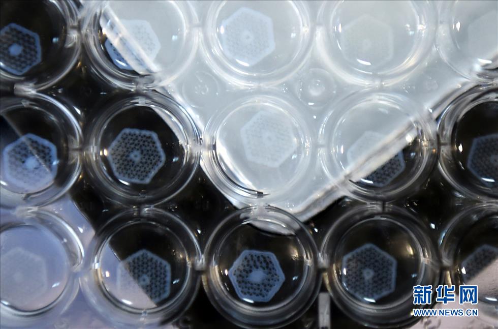 ????? ????? ????? ?? ??????? ?????? ??????? ?????? ???????