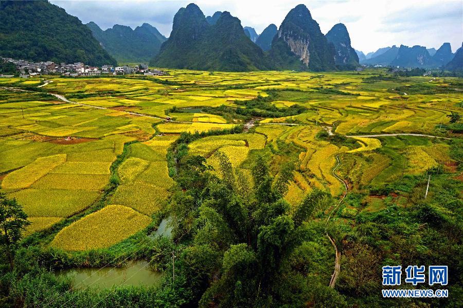 ????? ???????: ????? ???? ?? ????? ??? ?? ??????