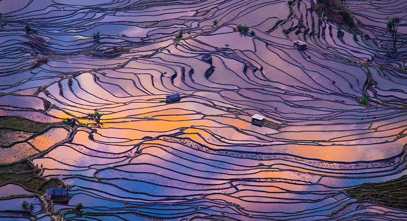 ???? ???? ????? ?? ???? ???? ???? ?????