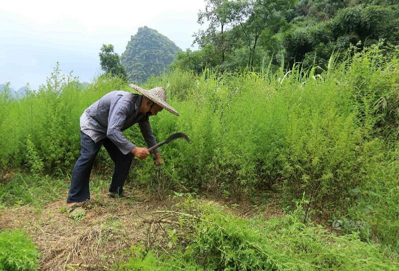 ????? ???? ???? ????????????? ?? ??????? ??????? ?????? ?? ????? ??? 2014. 