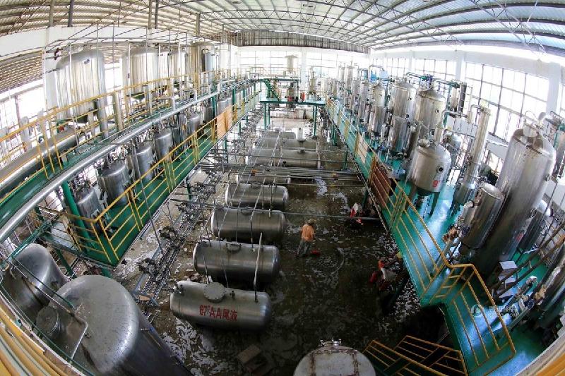 ?????? ???: ???? ????? ?????? ???? ????????????? ?? ?????