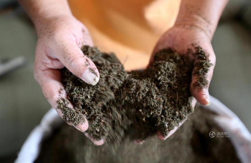 ?????? ???: ???? ????? ?????? ???? ????????????? ?? ?????