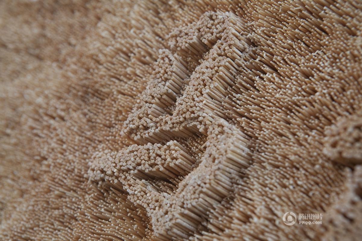 ??? ??? ???? ???? ???? ?????? ?500 ??? ??? ???????