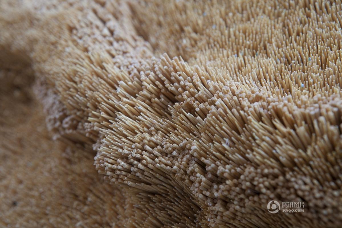 ??? ??? ???? ???? ???? ?????? ?500 ??? ??? ???????