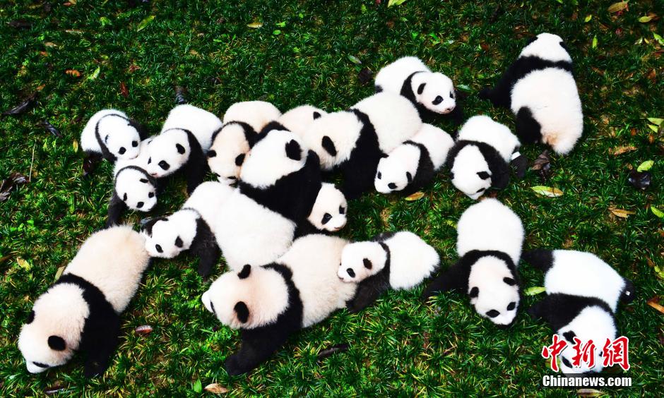 ????? ??????? ?????? ????? ??????? ?? ??? 2015