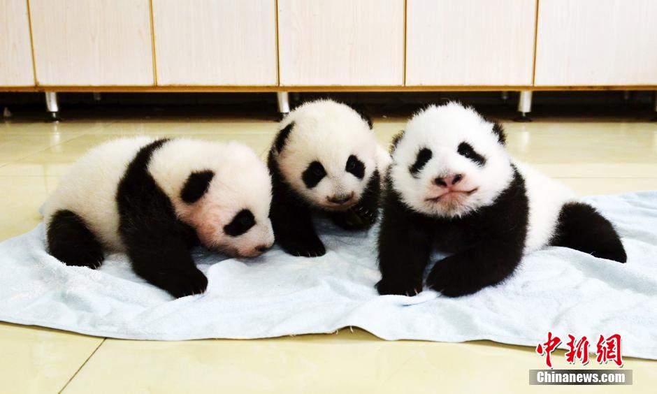 ????? ??????? ?????? ????? ??????? ?? ??? 2015