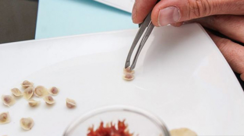 ???? ???? ??? ?? ??????..???? 0.0016 ???? ???