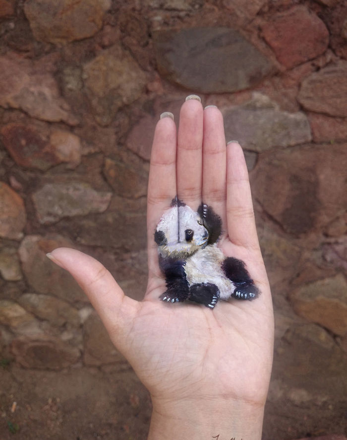 ????? ???? ????? ??? ????? ??????? ??? ?????