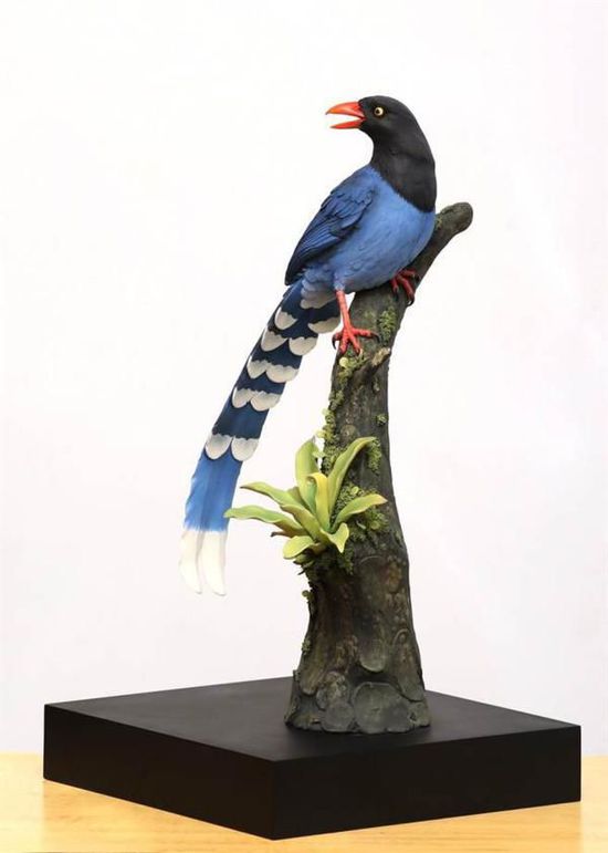 ?? ???? ??? ???? ?? ??? ???? ???? ????????