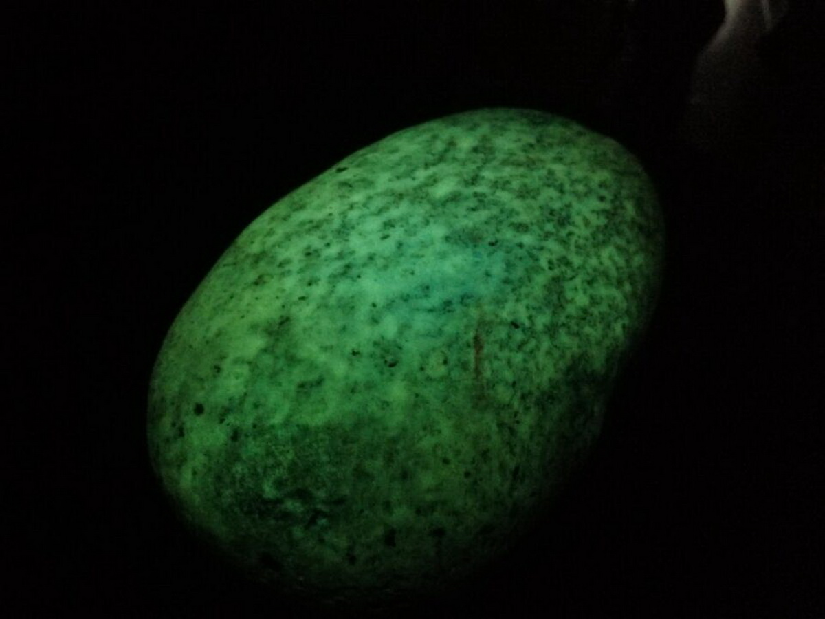 ???: ???? ???? ???? ?? ????? ???? ?????? ??? ?? ??? ???? ????? ???