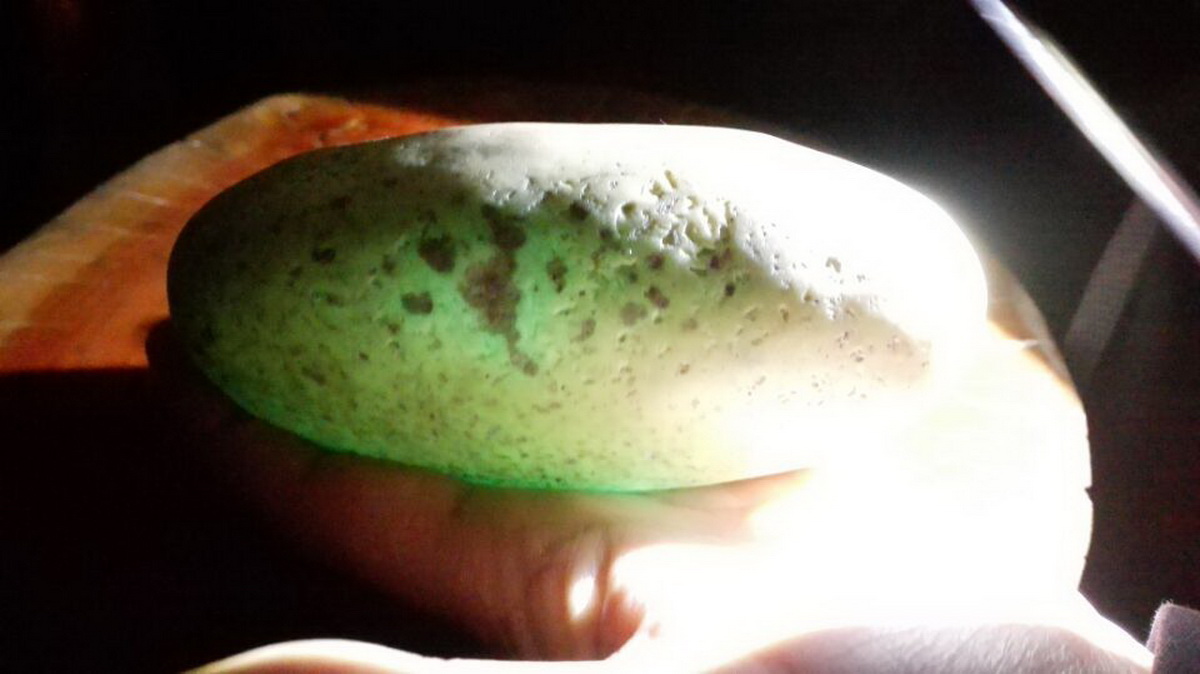 ???: ???? ???? ???? ?? ????? ???? ?????? ??? ?? ??? ???? ????? ???