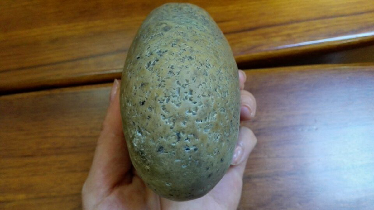 ???: ???? ???? ???? ?? ????? ???? ?????? ??? ?? ??? ???? ????? ???