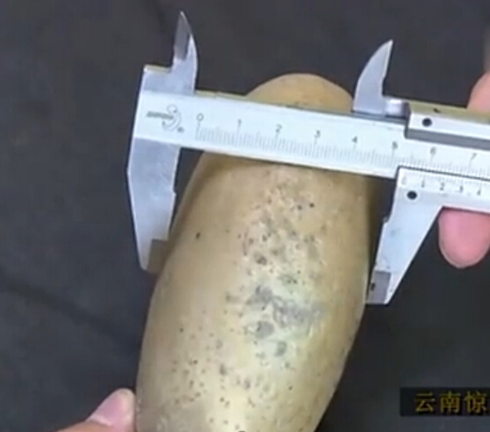 ???: ???? ???? ???? ?? ????? ???? ?????? ??? ?? ??? ???? ????? ???