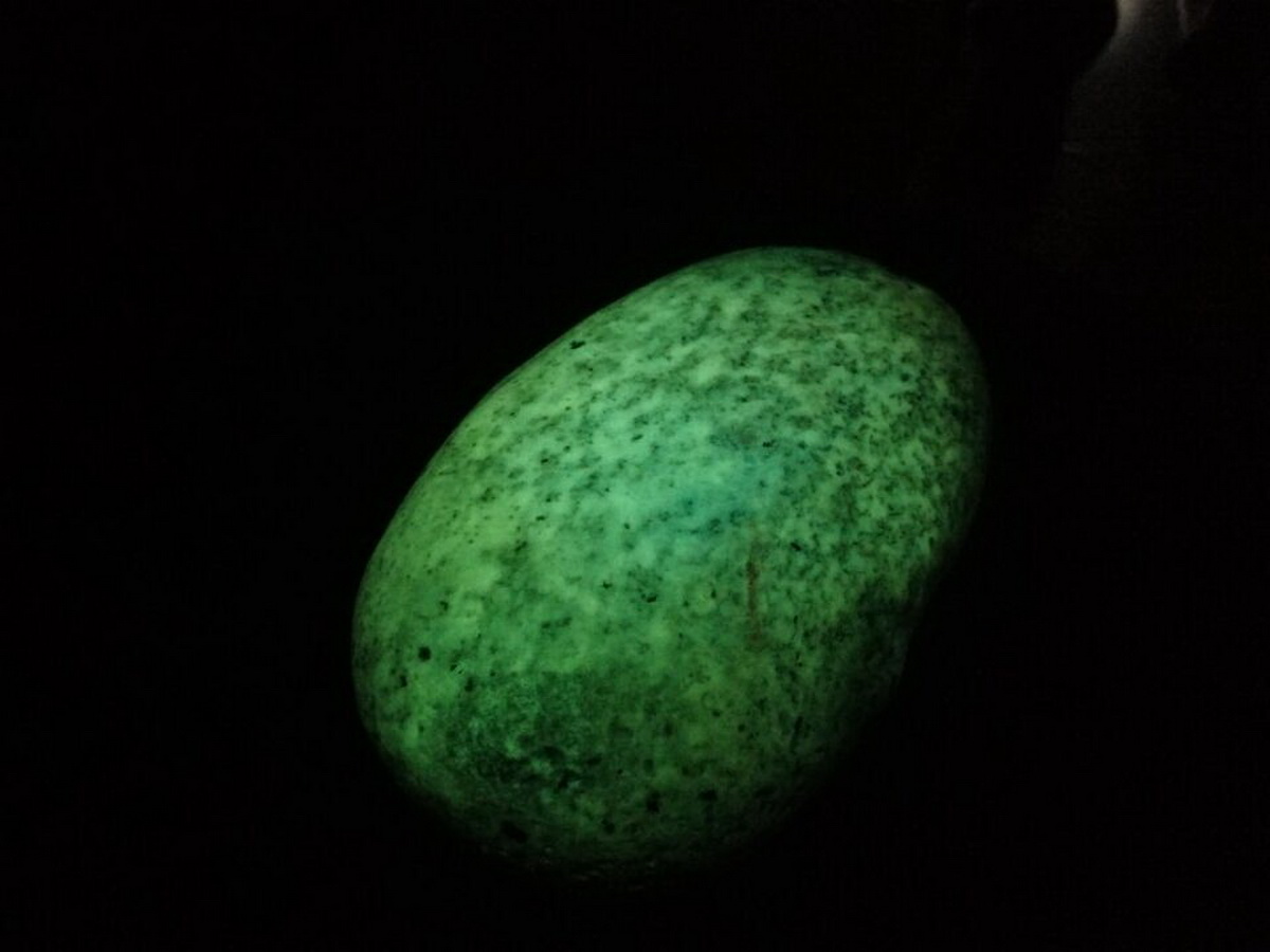 ???: ???? ???? ???? ?? ????? ???? ?????? ??? ?? ??? ???? ????? ???