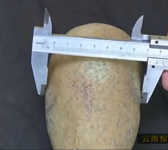 ???: ???? ???? ???? ?? ????? ???? ?????? ??? ?? ??? ???? ????? ???