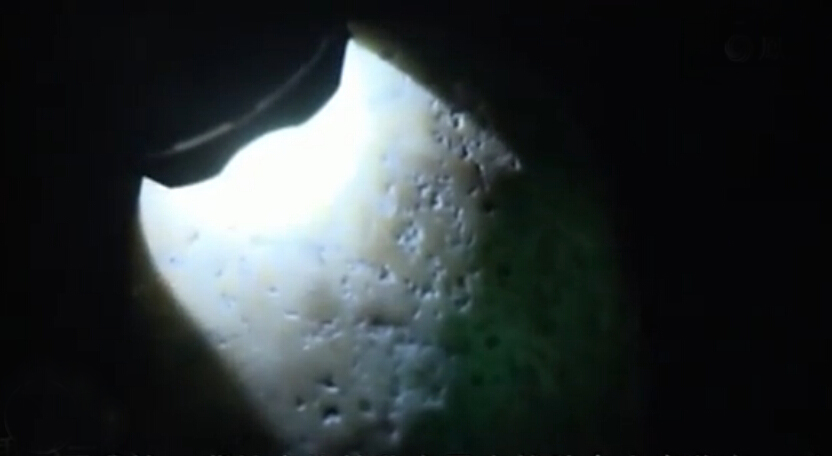 ???: ???? ???? ???? ?? ????? ???? ?????? ??? ?? ??? ???? ????? ???