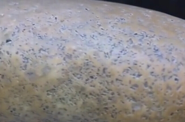 ???: ???? ???? ???? ?? ????? ???? ?????? ??? ?? ??? ???? ????? ???