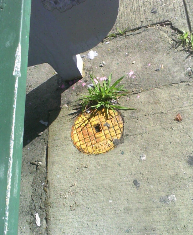 ???:????? ????? ????? ???? ???? ???????? ?? ???????