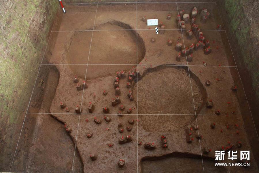 ?????? ???? ????? ???? ??? ?? ??? ????? ??? ?? ?????? ????