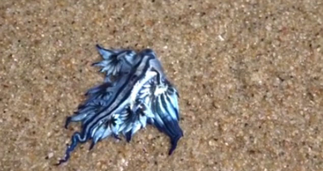 ????..???????? ???? ??? ????? ???? ???? 