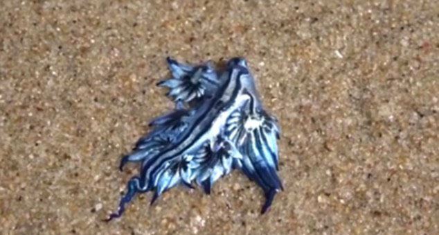 ????..???????? ???? ??? ????? ???? ???? 