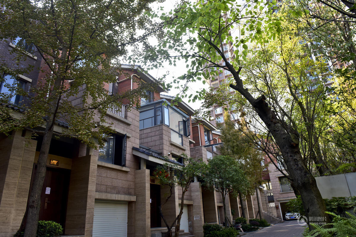 ??? ??????:???? ????? ??? ?????? ?? ?????