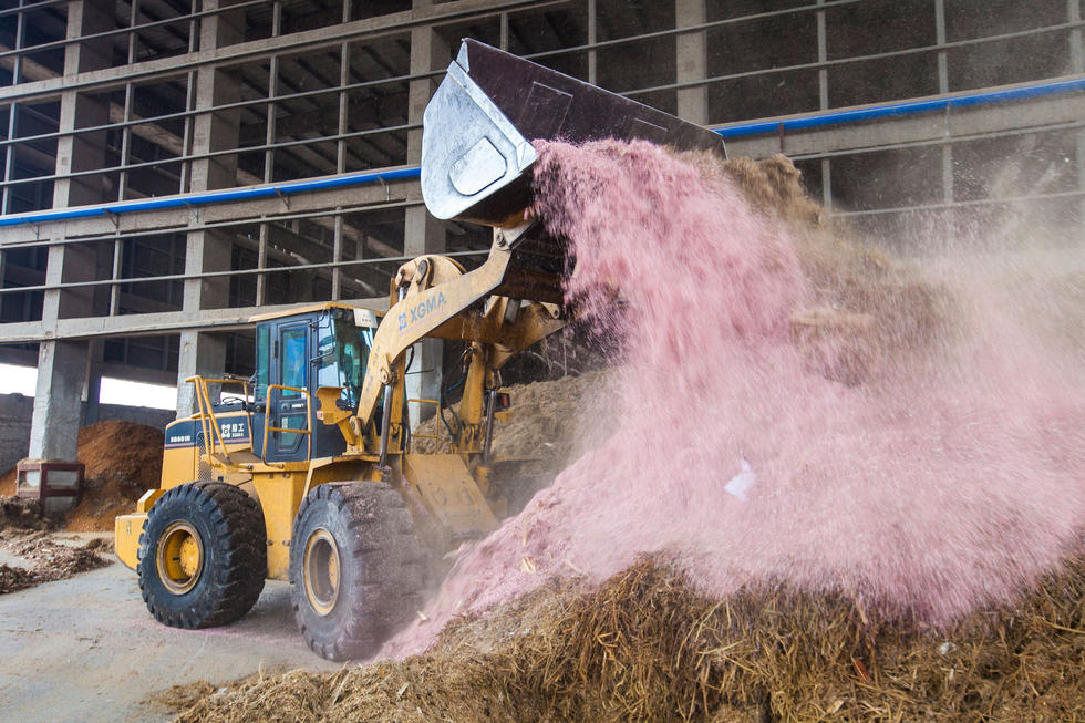 ??? ???? ??????? ??????? ??????? ?? ?????? ?????? ??? "??????? ?? ?????"?