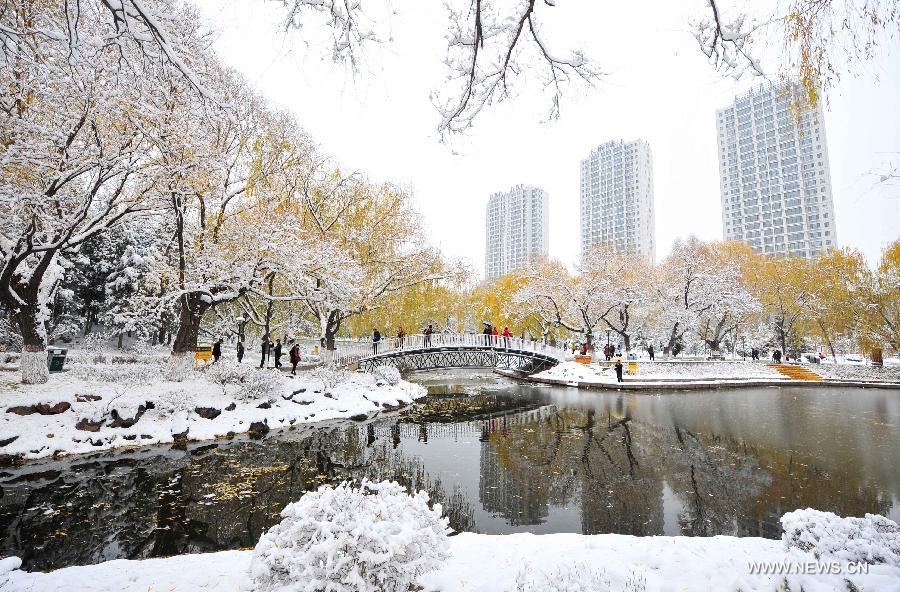 ????? ????? ????? ???? ?????