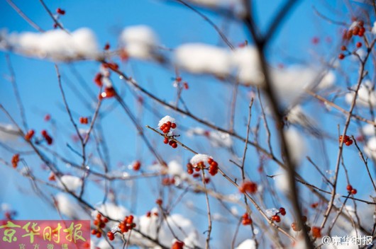 ???? ??? ????? ??????