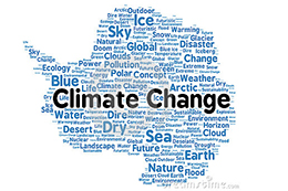 ????? ??????: ????? ????? "??????? ????? ?????? ???????" ?? ????? ????? ??? ?????? ???????